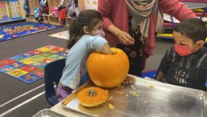 Pumpkin-Sensory-Activity-2021-9-1024×576