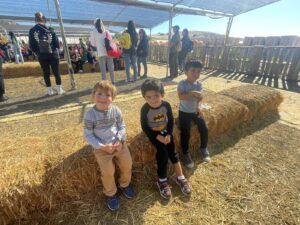 WhatsApp Image 2025-10-16 at 10.14.58 AM (1)