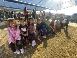 WhatsApp Image 2025-10-16 at 10.14.58 AM (2)