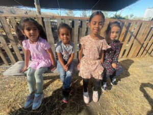 WhatsApp Image 2025-10-16 at 10.14.58 AM