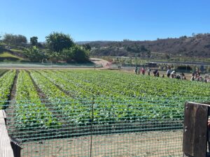 WhatsApp Image 2025-10-16 at 5.42.10 PM (10)