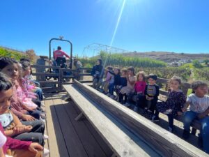 WhatsApp Image 2025-10-16 at 5.42.10 PM (11)