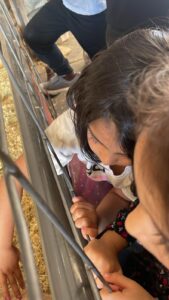 WhatsApp Image 2025-10-16 at 5.42.10 PM (12)