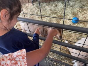 WhatsApp Image 2025-10-16 at 5.42.10 PM (13)