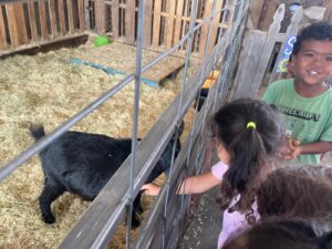 WhatsApp Image 2025-10-16 at 5.42.10 PM (14)