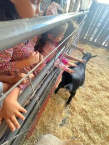 WhatsApp Image 2025-10-16 at 5.42.10 PM (15)