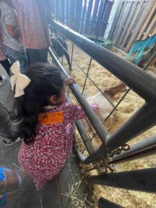 WhatsApp Image 2025-10-16 at 5.42.10 PM (16)