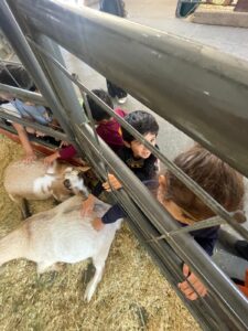 WhatsApp Image 2025-10-16 at 5.42.10 PM (17)