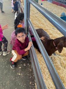 WhatsApp Image 2025-10-16 at 5.42.10 PM (18)