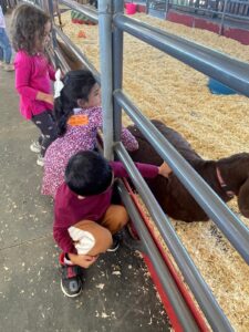 WhatsApp Image 2025-10-16 at 5.42.10 PM (19)