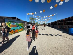 WhatsApp Image 2025-10-16 at 5.42.10 PM (2)