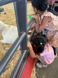 WhatsApp Image 2025-10-16 at 5.42.10 PM (20)