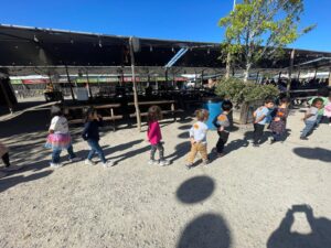 WhatsApp Image 2025-10-16 at 5.42.10 PM (4)