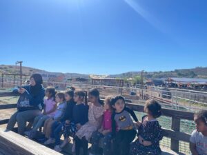 WhatsApp Image 2025-10-16 at 5.42.10 PM (6)