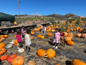 WhatsApp Image 2025-10-16 at 5.44.23 PM (13)