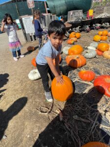 WhatsApp Image 2025-10-16 at 5.44.23 PM (15)