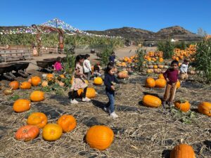 WhatsApp Image 2025-10-16 at 5.44.23 PM (16)