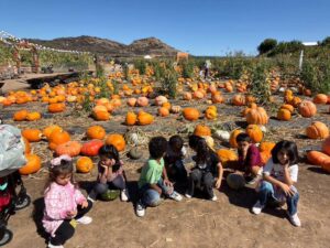 WhatsApp Image 2025-10-16 at 5.44.23 PM (18)