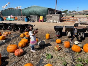 WhatsApp Image 2025-10-16 at 5.44.23 PM (19)