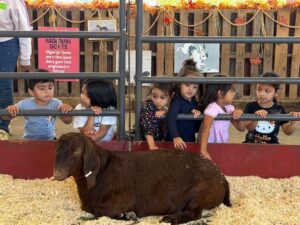 WhatsApp Image 2025-10-16 at 5.44.23 PM (22)