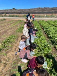 WhatsApp Image 2025-10-16 at 5.44.23 PM