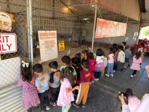 WhatsApp Image 2025-10-16 at 5.44.23 PM (23)