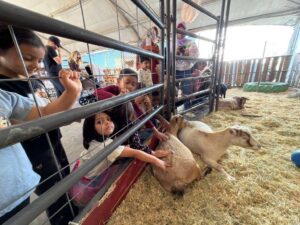 WhatsApp Image 2025-10-16 at 5.44.23 PM (24)