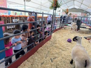 WhatsApp Image 2025-10-16 at 5.44.23 PM (25)