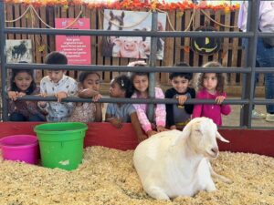 WhatsApp Image 2025-10-16 at 5.44.23 PM (26)