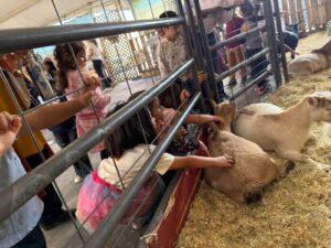 WhatsApp Image 2025-10-16 at 5.44.23 PM (27)