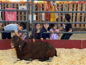 WhatsApp Image 2025-10-16 at 5.44.23 PM (29)