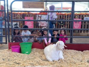 WhatsApp Image 2025-10-16 at 5.44.23 PM (30)