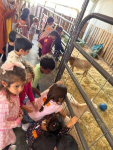 WhatsApp Image 2025-10-16 at 5.44.23 PM (33)