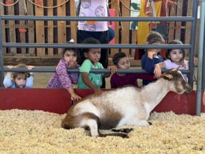 WhatsApp Image 2025-10-16 at 5.44.23 PM (34)