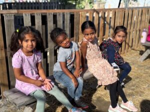 WhatsApp Image 2025-10-16 at 5.44.23 PM (37)