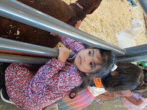 WhatsApp Image 2025-10-17 at 10.56.50 AM (2)