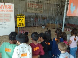 WhatsApp Image 2025-10-17 at 10.56.50 AM (3)