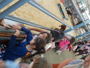 WhatsApp Image 2025-10-17 at 10.56.50 AM