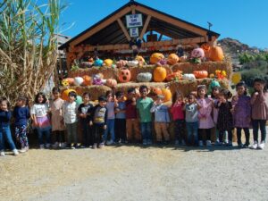 WhatsApp Image 2025-10-17 at 10.56.51 AM (1)