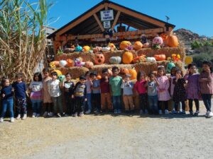 WhatsApp Image 2025-10-17 at 10.56.51 AM (2)