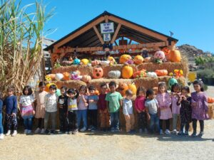 WhatsApp Image 2025-10-17 at 10.56.51 AM (3)