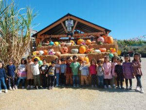 WhatsApp Image 2025-10-17 at 10.56.51 AM