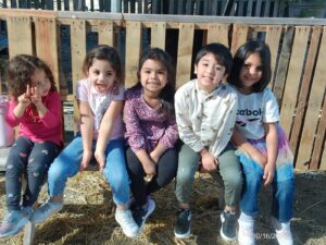 WhatsApp Image 2025-10-17 at 10.56.53 AM