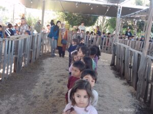 WhatsApp Image 2025-10-17 at 10.56.54 AM (1)