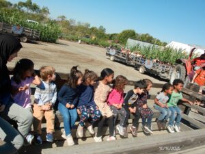 WhatsApp Image 2025-10-17 at 10.56.54 AM (2)