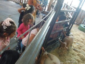 WhatsApp Image 2025-10-17 at 10.57.56 AM (1)