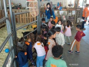 WhatsApp Image 2025-10-17 at 10.57.56 AM (2)