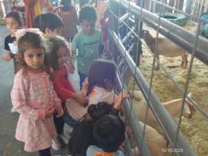 WhatsApp Image 2025-10-17 at 10.57.56 AM