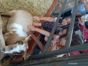 WhatsApp Image 2025-10-17 at 10.57.57 AM