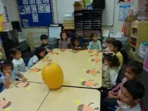 WhatsApp Image 2025-10-23 at 2.34.51 PM